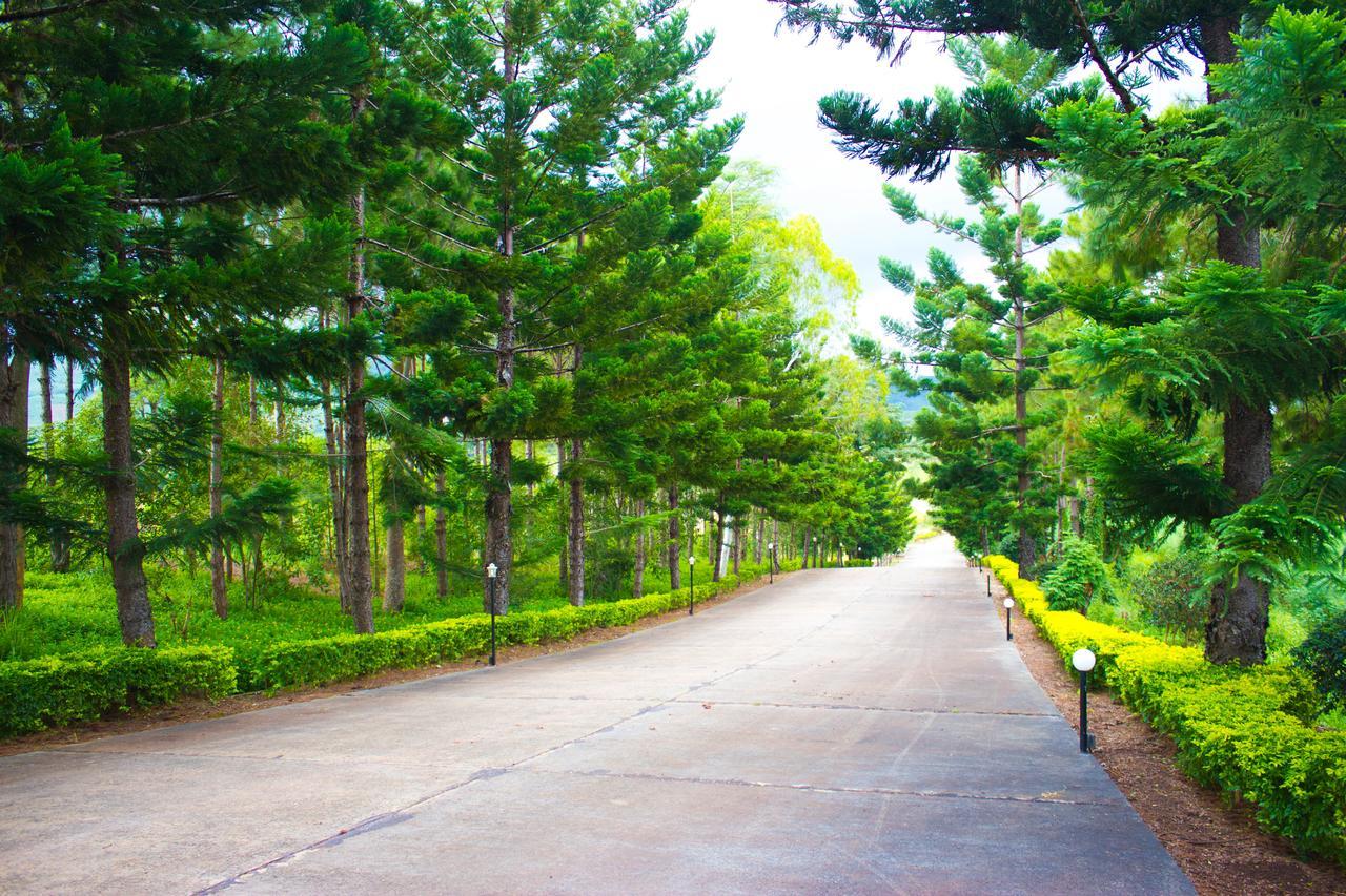 Bird Land Resort Amphoe Amphoe Khao Kho Exterior foto